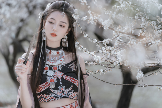 解剖大师 封面